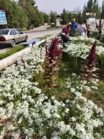 Баргузории аксияҳои экологӣ дар шаҳри Ваҳдат