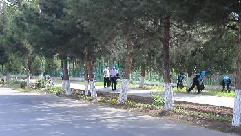 “Тозагии маҳал” дар шаҳри Левакант