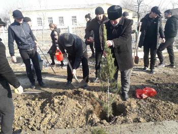 Аксияи «Тозагии маҳал» ва маъракаи ниҳолшинонӣ  дар Зафаробод 