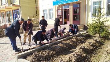 Гулшинонӣ дар шуъбаи ҳифзи муҳити зист дар шаҳри Ҳисор
