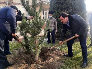 Дар Сарраёсати ҳифзи муҳити зист дар вилояти Суғд ниҳолшинонӣ ва кабудизоркунӣ оғоз ёфт