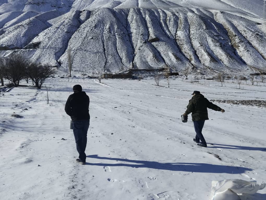Айни.jpg